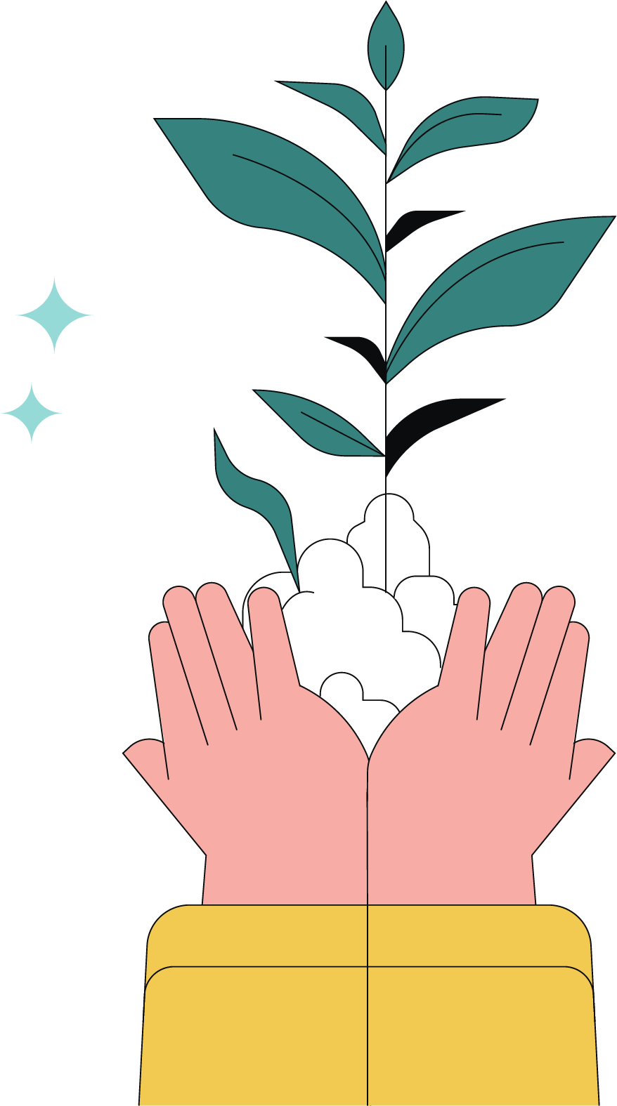 Hands holding a growing plant